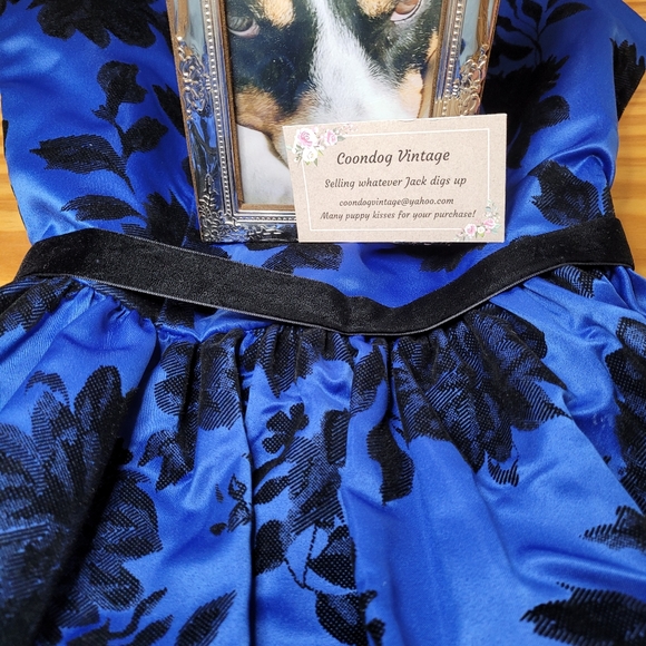 Girl's Formal - Picture 5 of 5